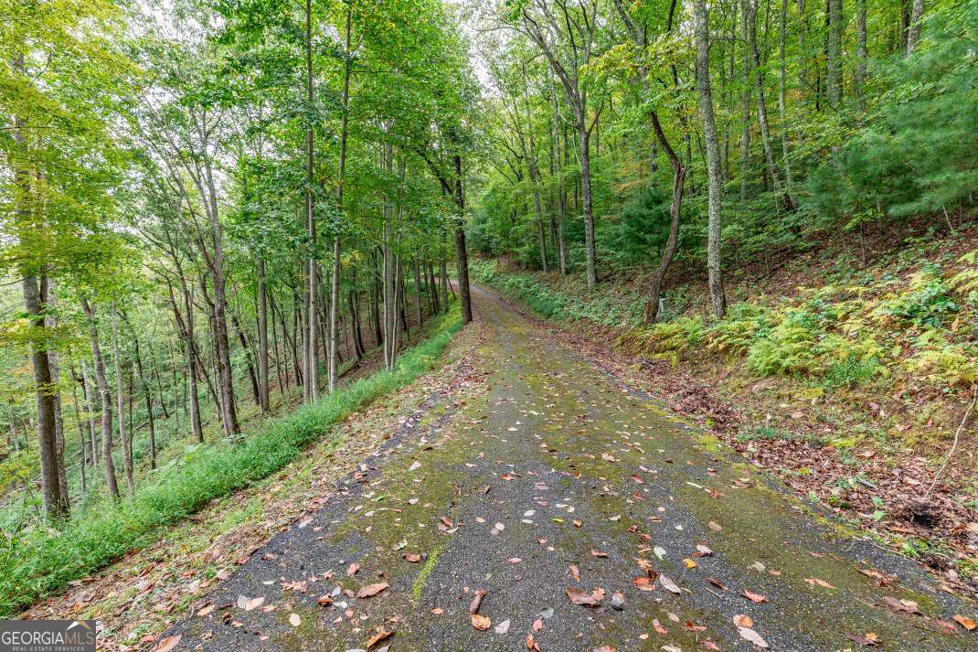 Lot 20 Buckhead Hills Hiawassee GA 30546