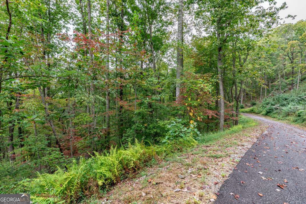 Lot 20 Buckhead Hills Hiawassee GA 30546