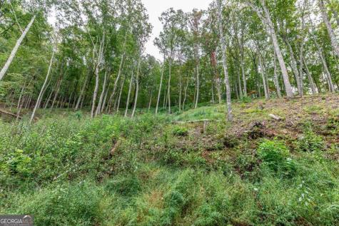 Lot 20 Buckhead Hills Hiawassee GA 30546