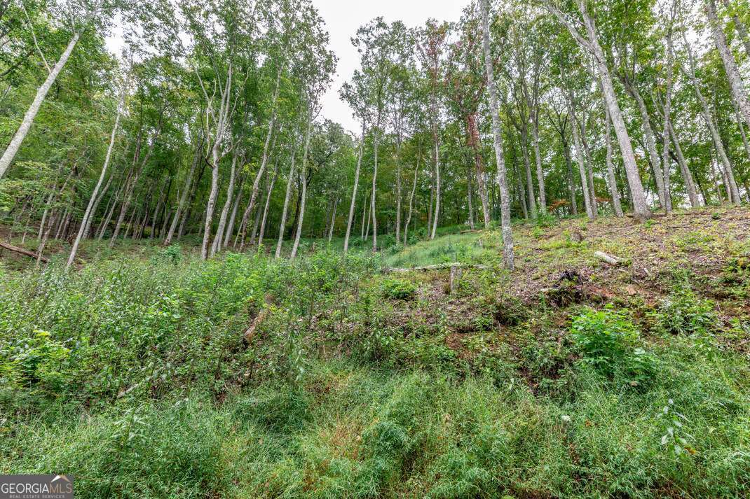 Lot 20 Buckhead Hills Hiawassee GA 30546
