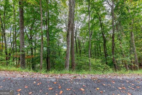 Lot 20 Buckhead Hills Hiawassee GA 30546