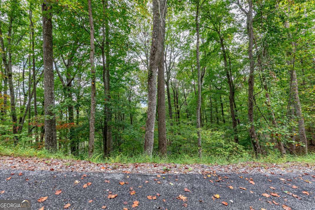 Lot 20 Buckhead Hills Hiawassee GA 30546