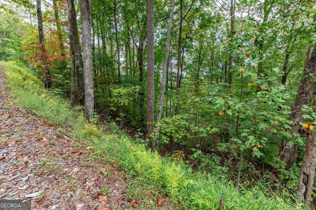 Lot 20 Buckhead Hills Hiawassee GA 30546