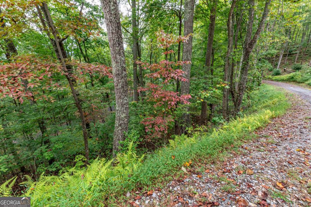 Lot 20 Buckhead Hills Hiawassee GA 30546