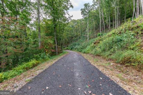 Lot 20 Buckhead Hills Hiawassee GA 30546