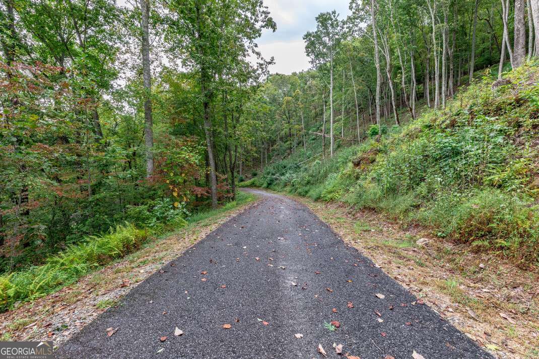Lot 20 Buckhead Hills Hiawassee GA 30546