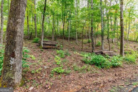 Lot 20 Buckhead Hills Hiawassee GA 30546