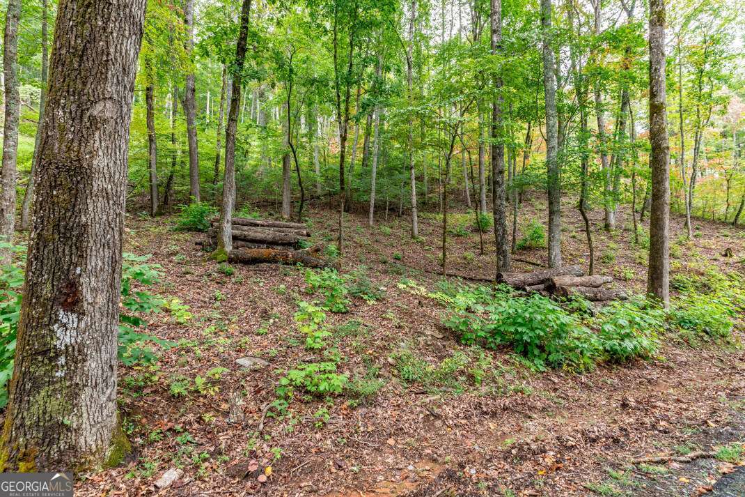 Lot 20 Buckhead Hills Hiawassee GA 30546