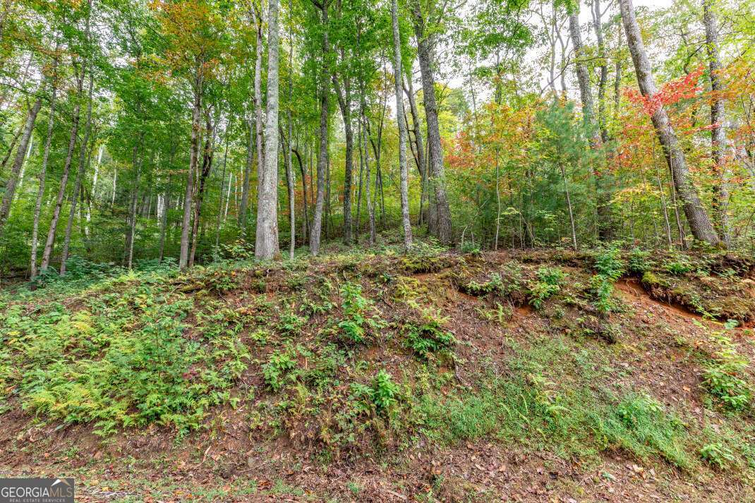 Lot 20 Buckhead Hills Hiawassee GA 30546