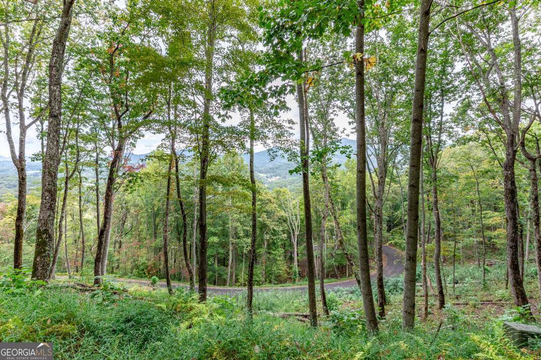 Lot 20 Buckhead Hills Hiawassee GA 30546