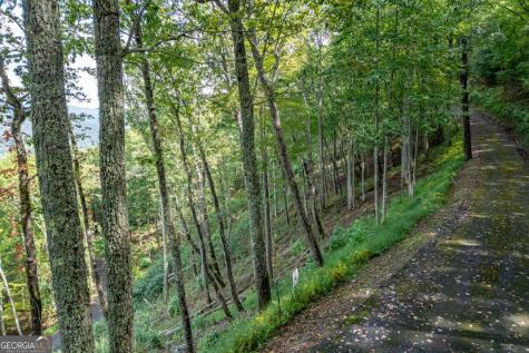 Lot 20 Buckhead Hills Hiawassee GA 30546