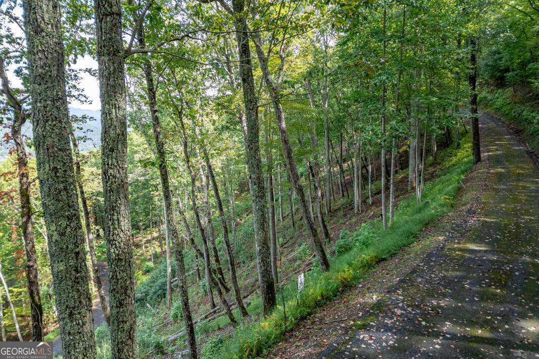 Lot 20 Buckhead Hills Hiawassee GA 30546