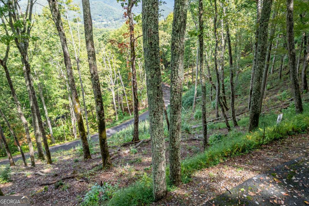 Lot 20 Buckhead Hills Hiawassee GA 30546