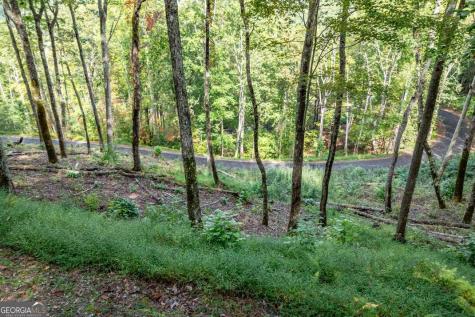 Lot 20 Buckhead Hills Hiawassee GA 30546