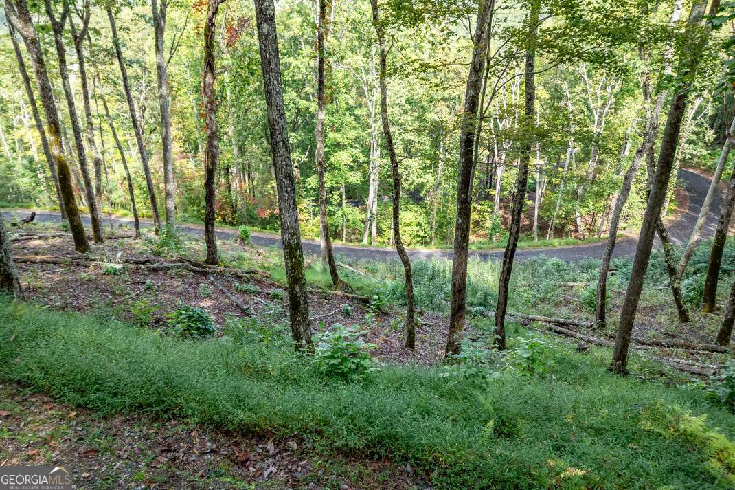 Lot 20 Buckhead Hills Hiawassee GA 30546