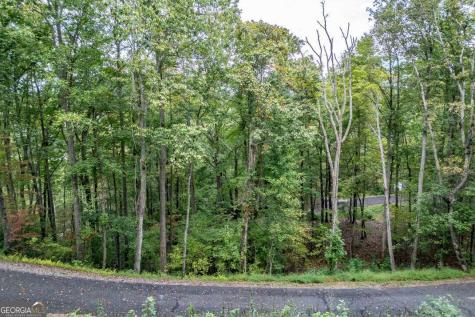 Lot 20 Buckhead Hills Hiawassee GA 30546