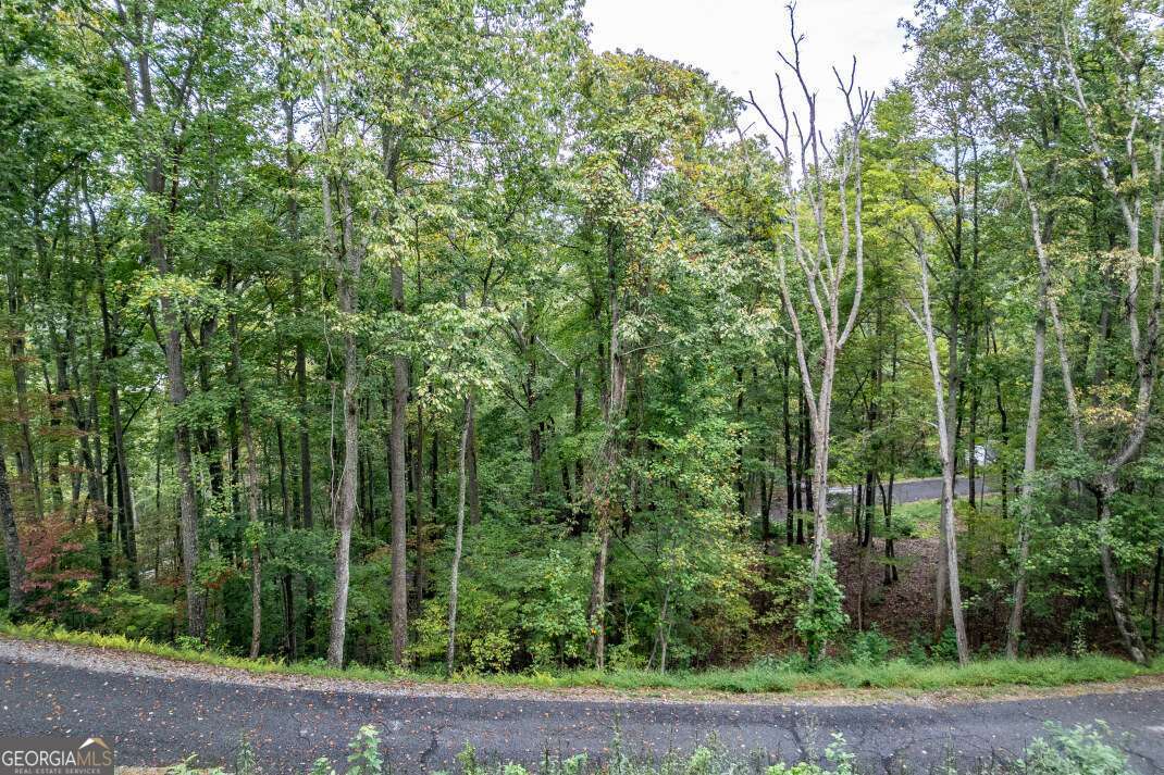 Lot 20 Buckhead Hills Hiawassee GA 30546