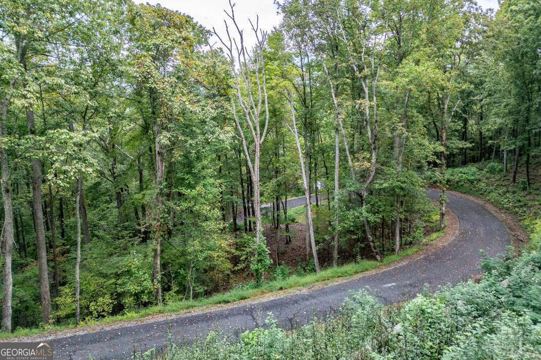 Lot 20 Buckhead Hills Hiawassee GA 30546