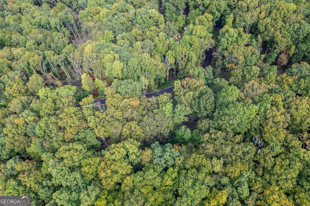 Lot 20 Buckhead Hills Hiawassee GA 30546