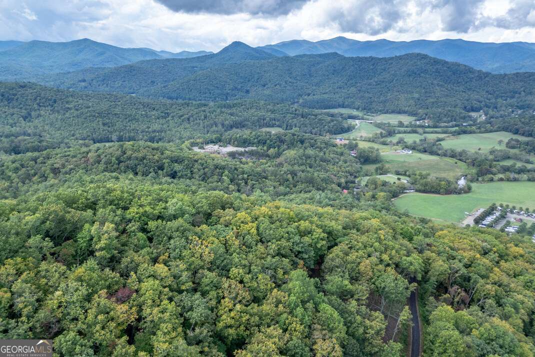 Lot 20 Buckhead Hills Hiawassee GA 30546
