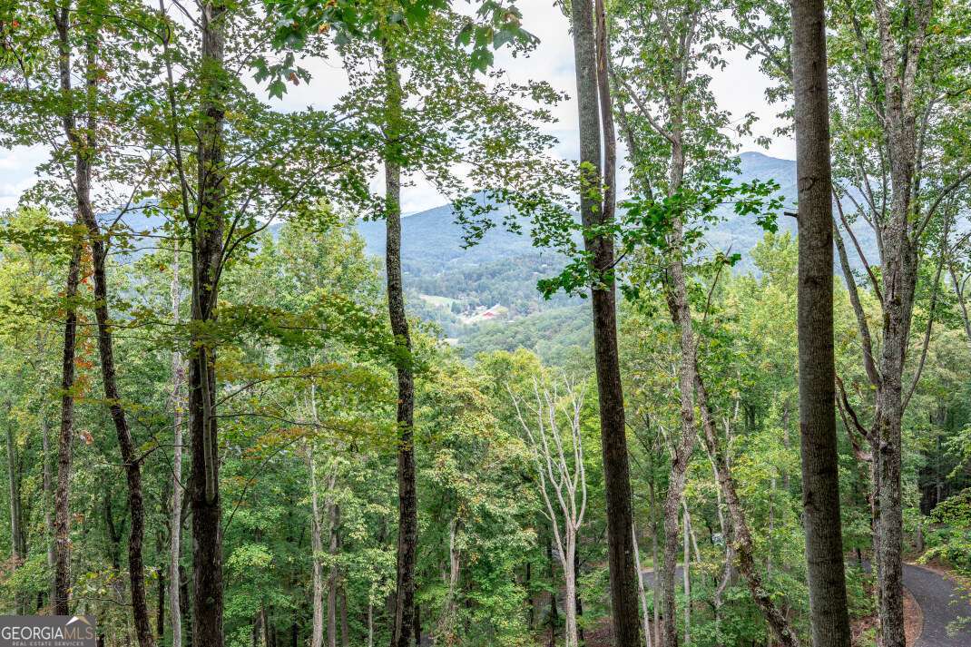 Lot 20 Buckhead Hills Hiawassee GA 30546