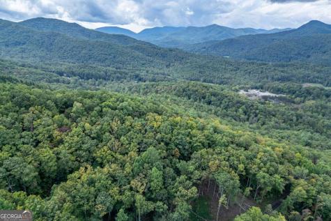 Lot 20 Buckhead Hills Hiawassee GA 30546