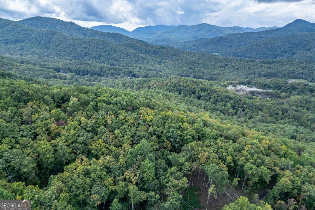 Lot 20 Buckhead Hills Hiawassee GA 30546