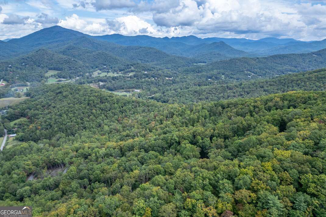 Lot 20 Buckhead Hills Hiawassee GA 30546