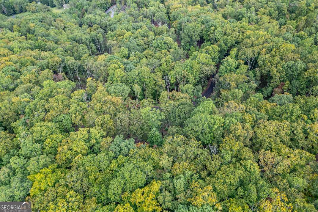 Lot 20 Buckhead Hills Hiawassee GA 30546