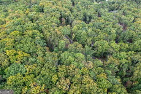 Lot 20 Buckhead Hills Hiawassee GA 30546