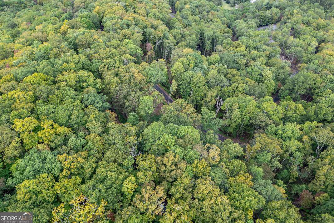Lot 20 Buckhead Hills Hiawassee GA 30546