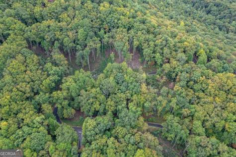 Lot 20 Buckhead Hills Hiawassee GA 30546
