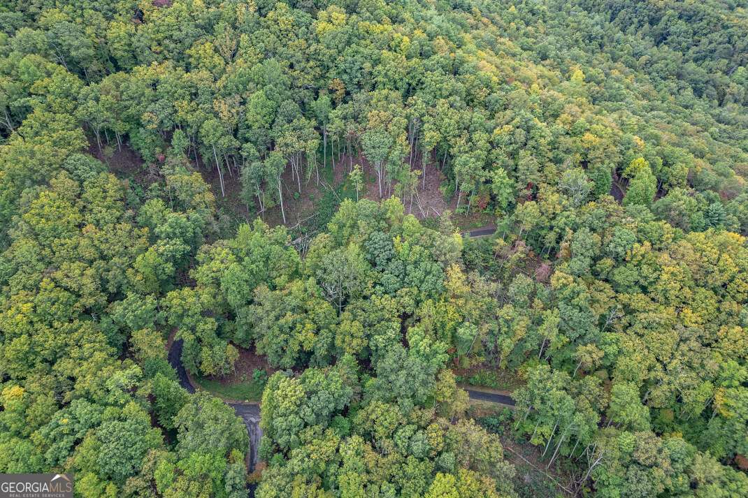 Lot 20 Buckhead Hills Hiawassee GA 30546