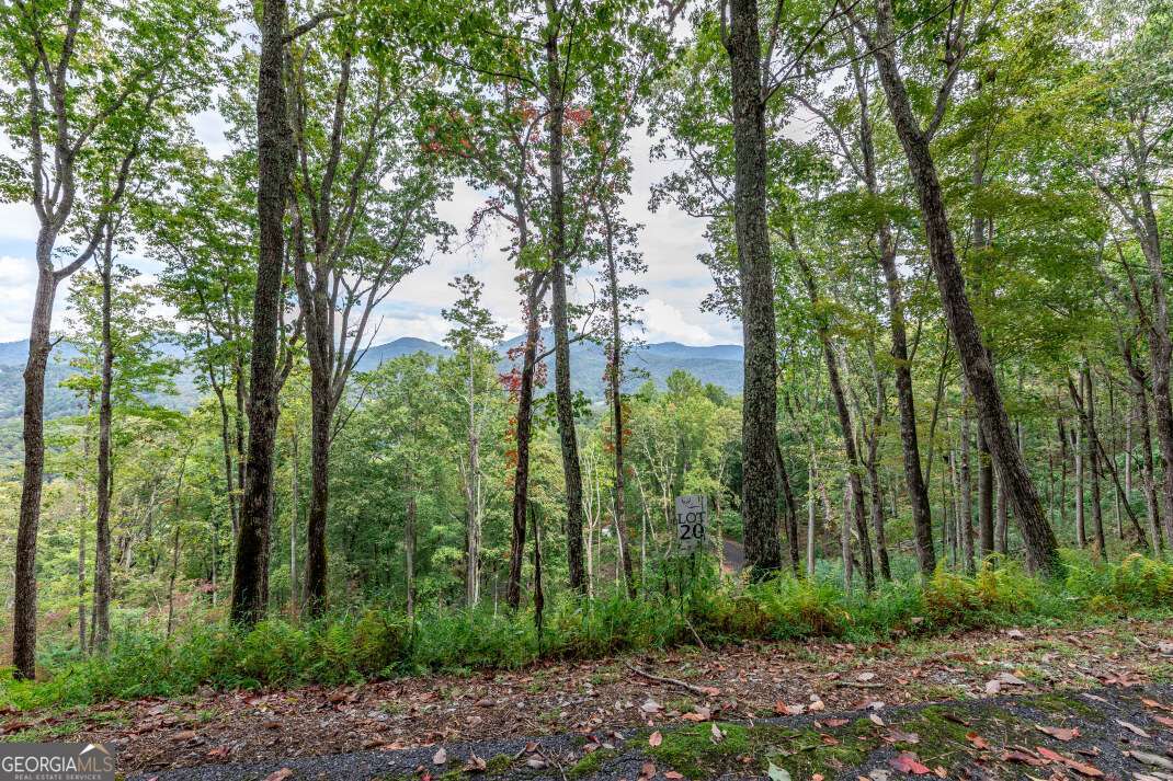 Lot 20 Buckhead Hills Hiawassee GA 30546