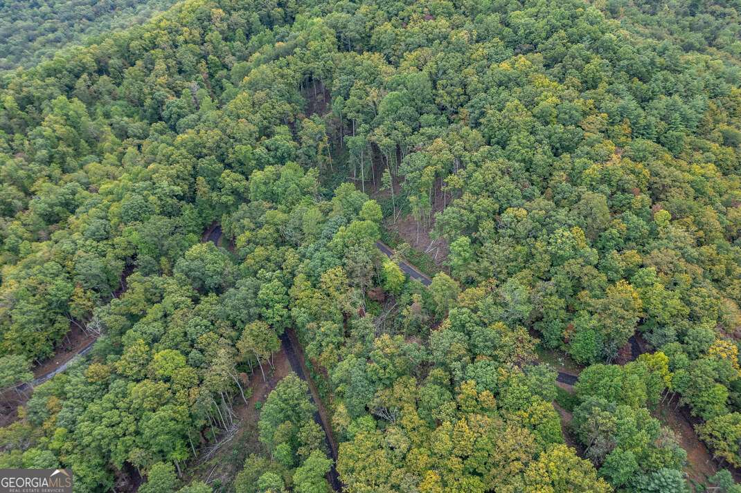 Lot 20 Buckhead Hills Hiawassee GA 30546