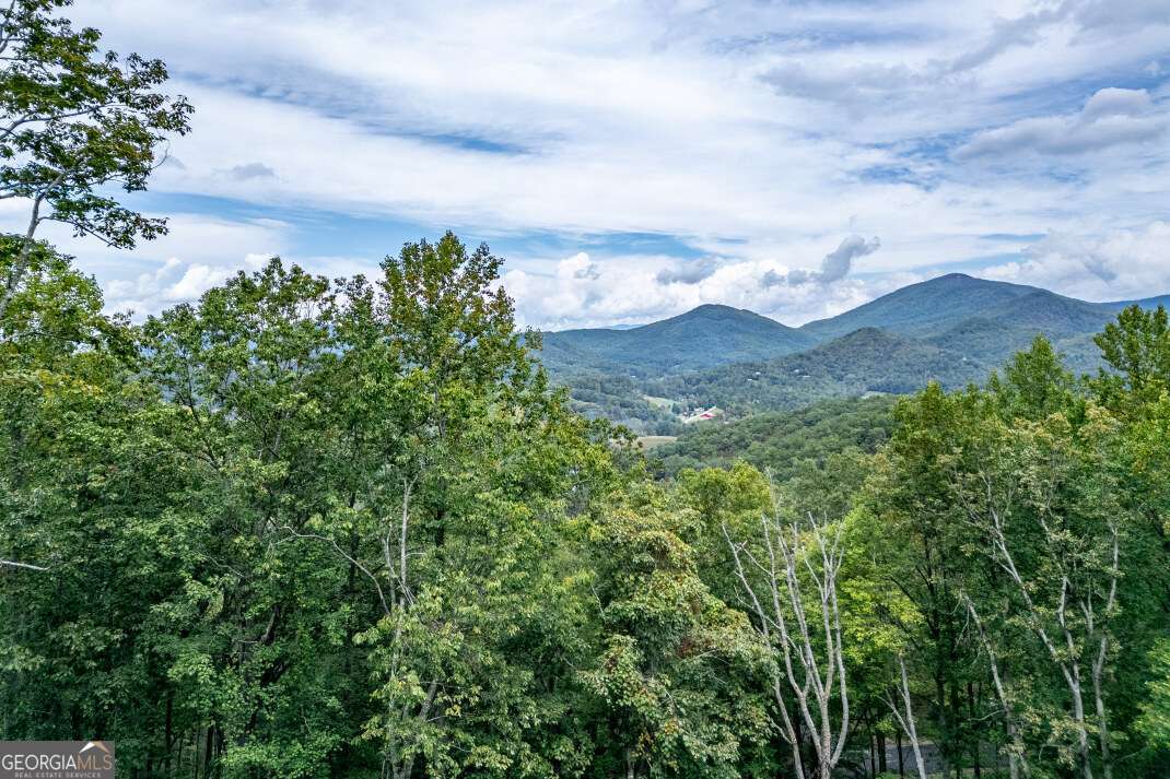 Lot 20 Buckhead Hills Hiawassee GA 30546
