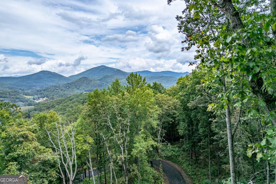 Lot 20 Buckhead Hills Hiawassee GA 30546