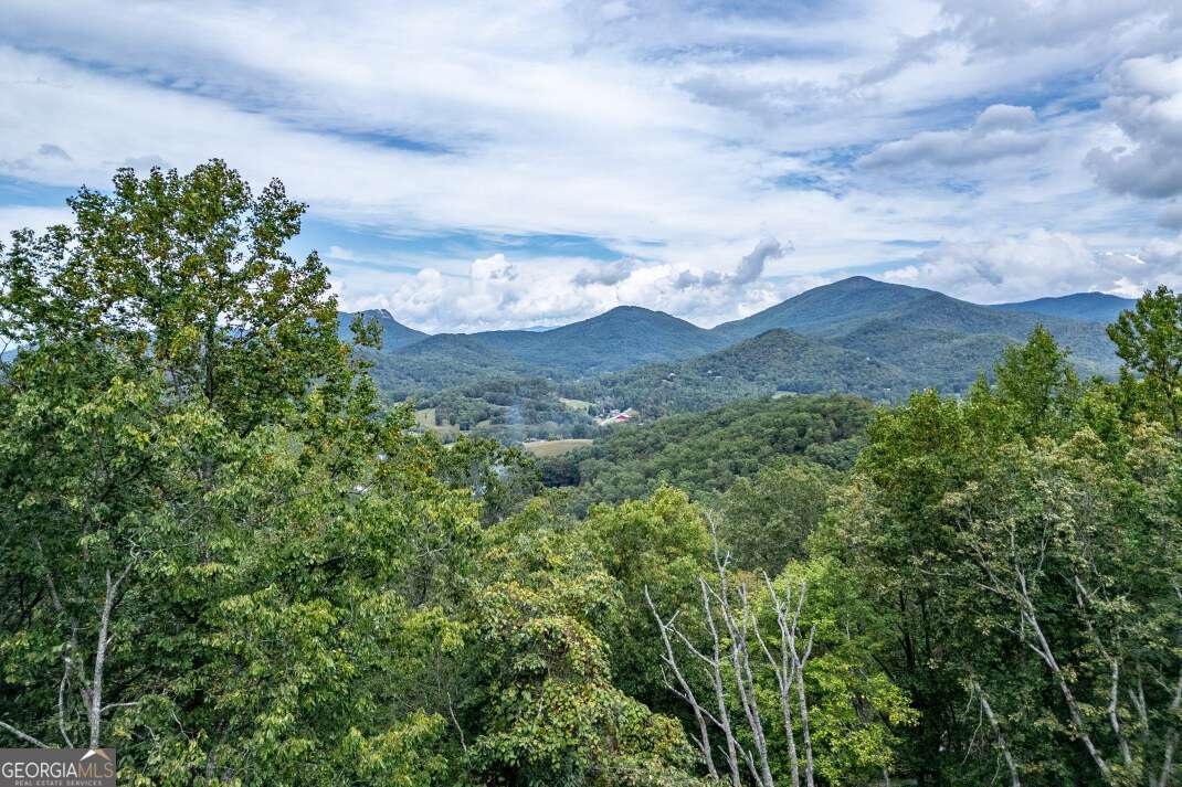 Lot 20 Buckhead Hills Hiawassee GA 30546