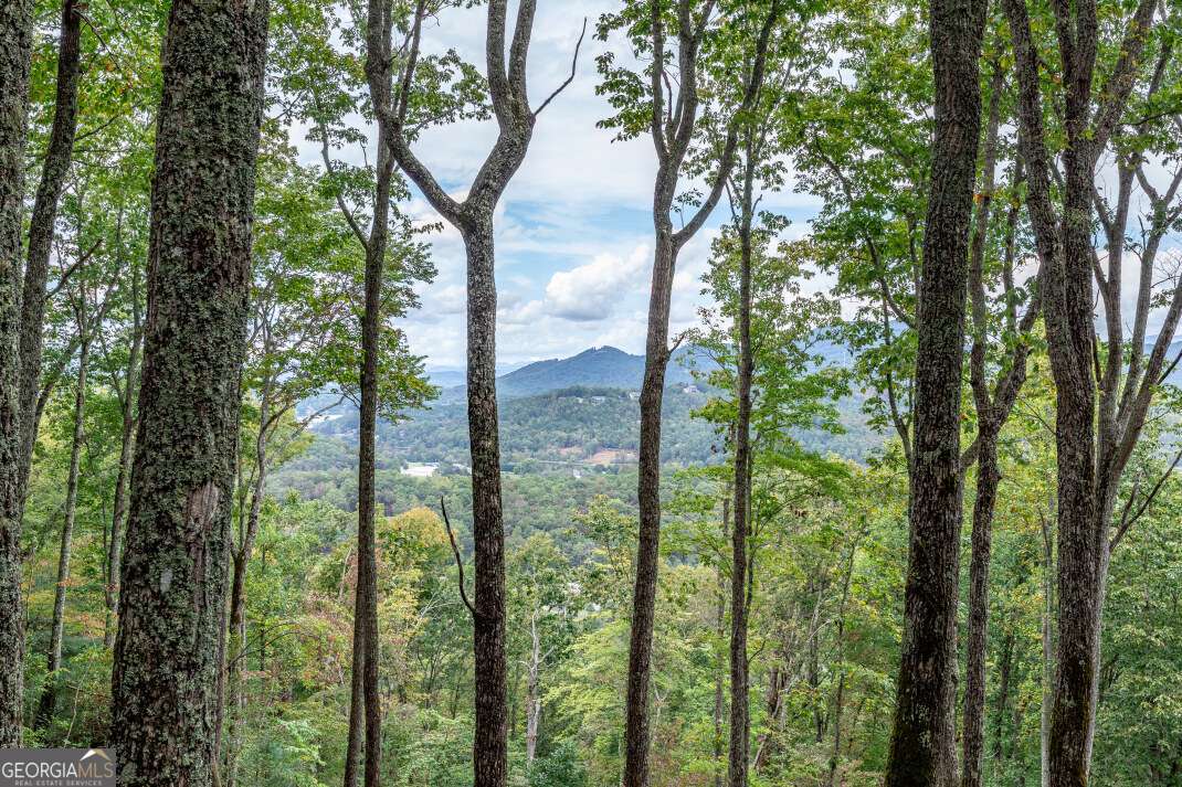 Lot 20 Buckhead Hills Hiawassee GA 30546
