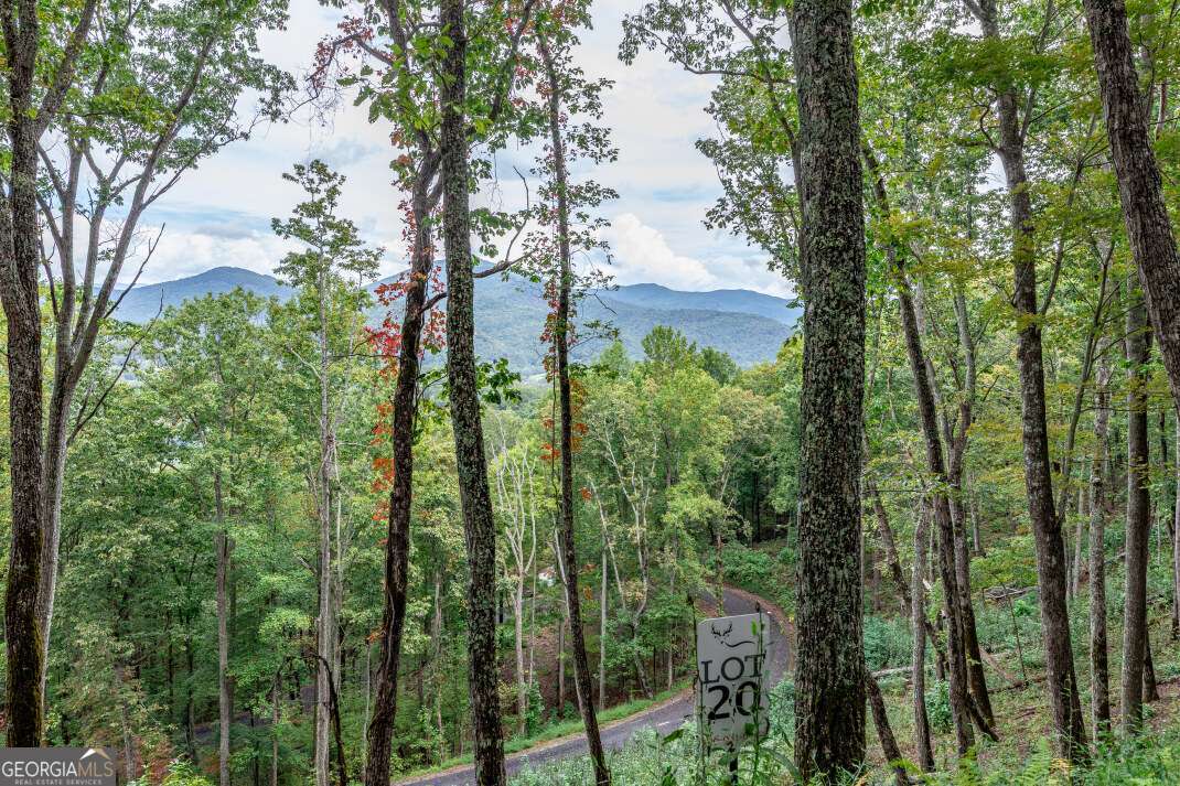Lot 20 Buckhead Hills Hiawassee GA 30546