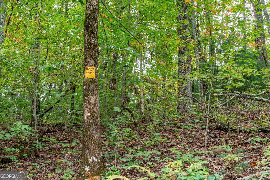 Lot 20 Buckhead Hills Hiawassee GA 30546