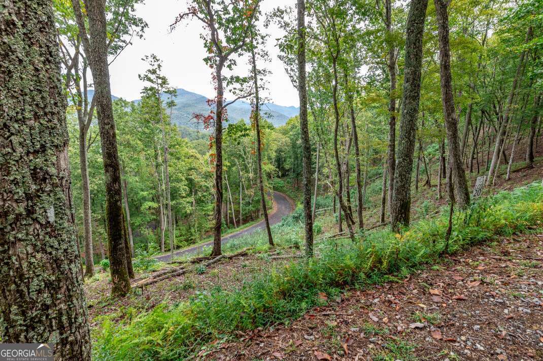 Lot 20 Buckhead Hills Hiawassee GA 30546