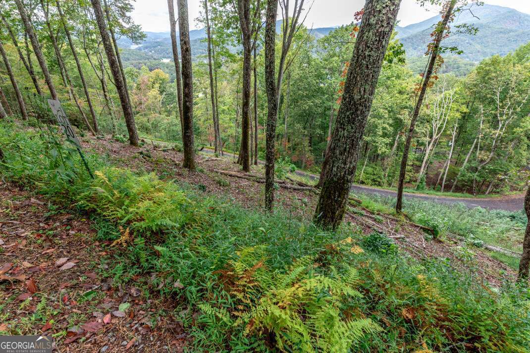 Lot 20 Buckhead Hills Hiawassee GA 30546