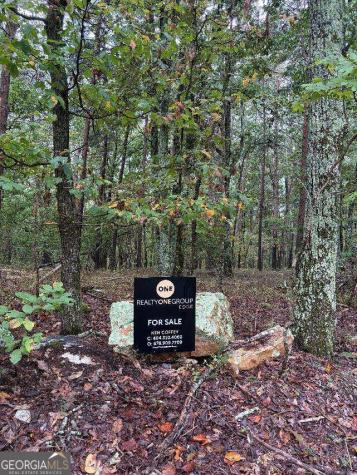 0 Quartz Court Jasper GA 30143