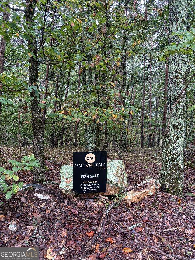 0 Quartz Court Jasper GA 30143