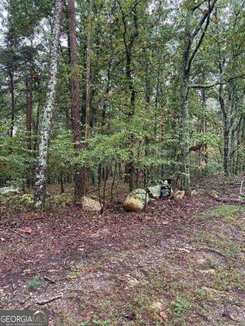 0 Quartz Court Jasper GA 30143