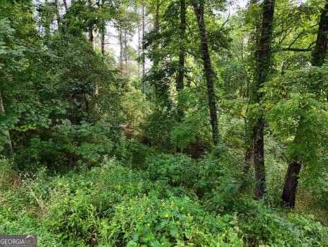 Lot 4 River Lake Estates Blairsville GA 30512