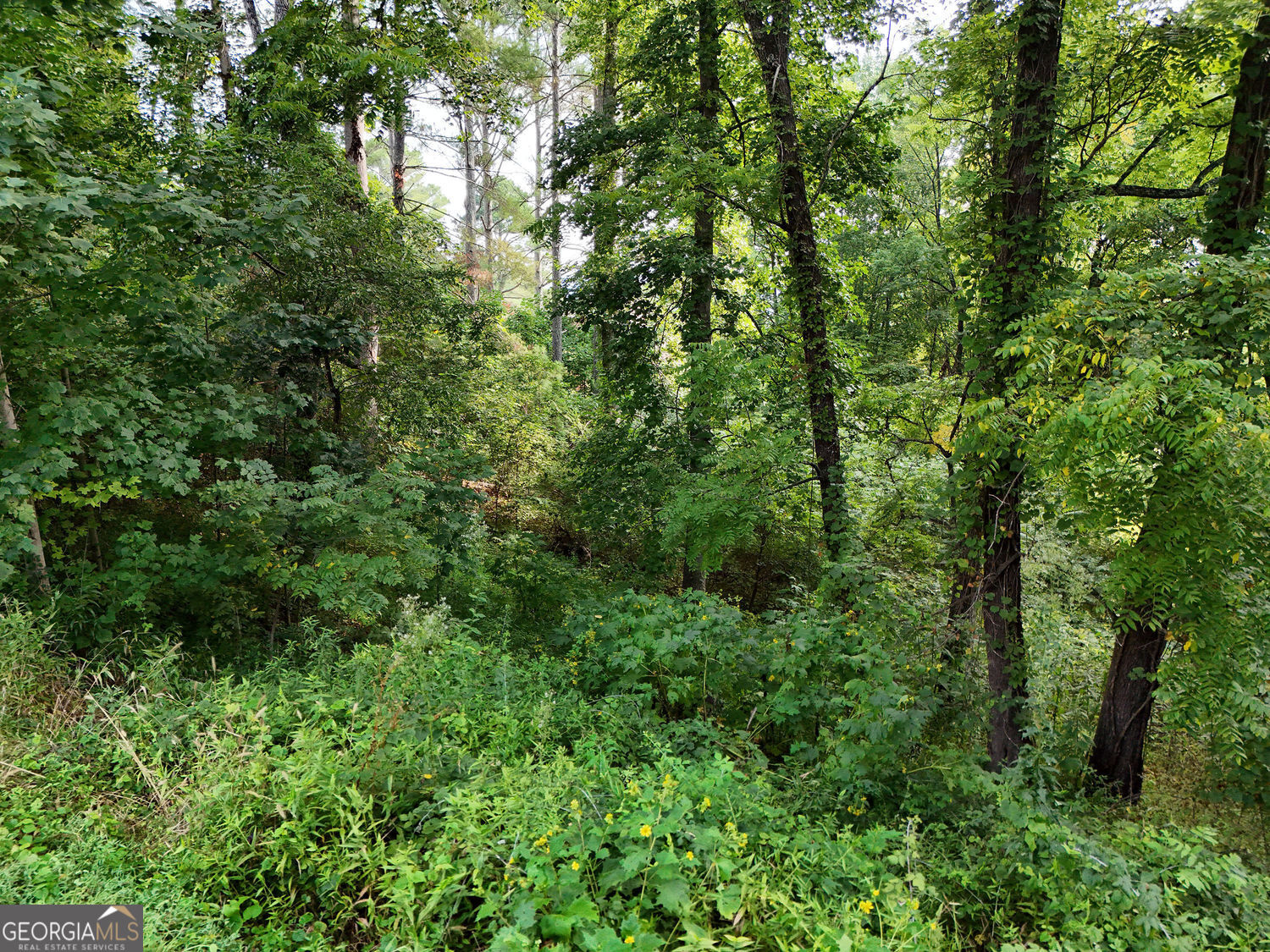 Lot 4 River Lake Estates Blairsville GA 30512