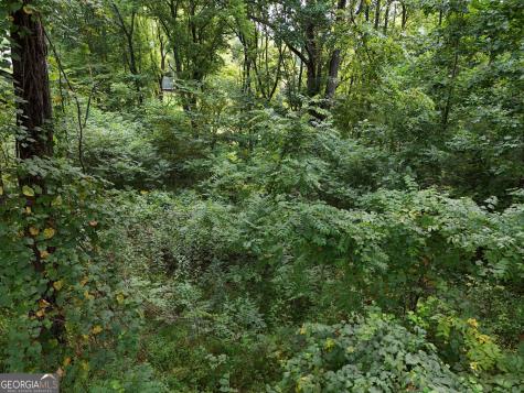 Lot 4 River Lake Estates Blairsville GA 30512