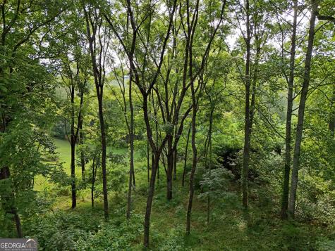 Lot 4 River Lake Estates Blairsville GA 30512